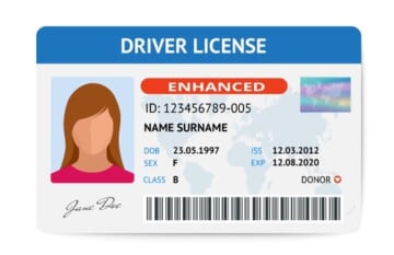 Can I Cruise with Just a Driver's License?